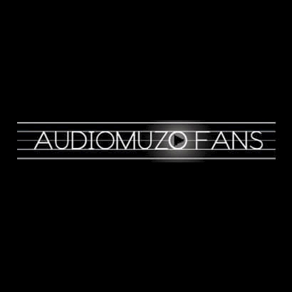 audiomuzofans.pl评论我们的Gold 300音箱
